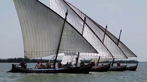 Vídeo divulgativo sobre el Parque Natural de La Albufera